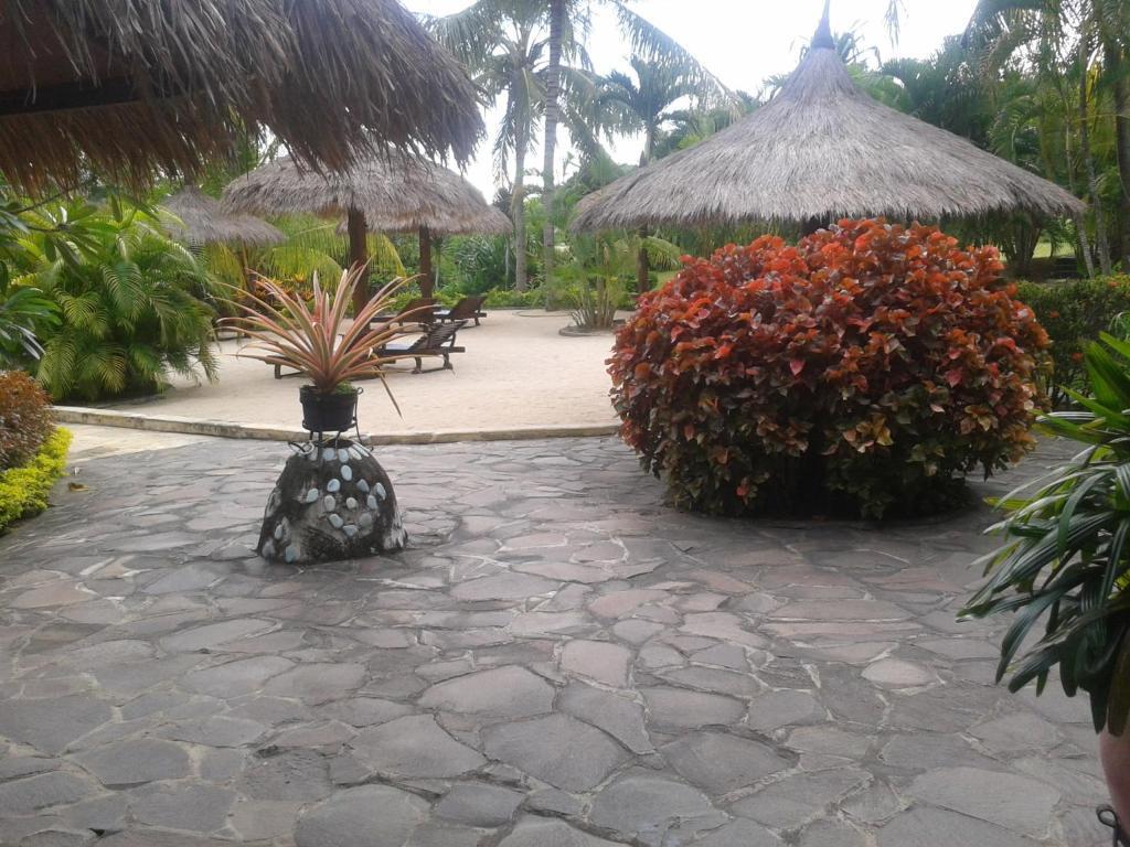 Medana Resort Lombok Tanjung  Exterior photo